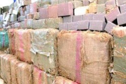 جمارك مغنية تحجز 10 قناطير كيف اثر حادث مرور مروع