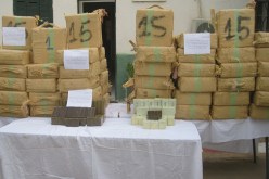 الشرطة تـوقف 812 بارون هرّبوا 55 قنطارا من الكيف خلال سنة في تلمسان