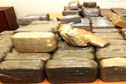 حجز 700 كيلوغرام من الكيف المعالج بالوادي