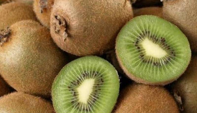 حجز طن من الكيوي المعد للتهريب إلى تونس في تبسة