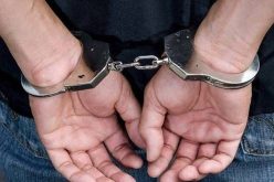 العاصمة.. توقيف شخص مبحوث عنه دوليا في قضية سرقة