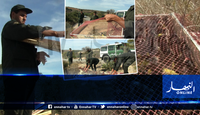 عين تموشنت : درك أولاد بوجمعة يحجز 850 طائر الحسون “المقنين”