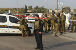 استشهاد فتاة فلسطينية دهسها مستوطن بالضفة