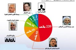 ء165 طعن متعلق بنتائج الانتخابات يصل الى  المجلس الدستوري