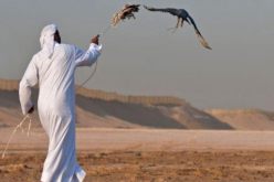 الإفراج عن 9 صياديين  قطريين من أصل 26 مختطفين في العراق