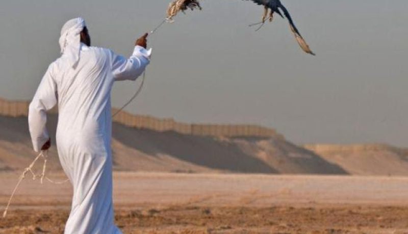 الإفراج عن 9 صياديين قطريين من أصل 26 مختطفين في العراق
