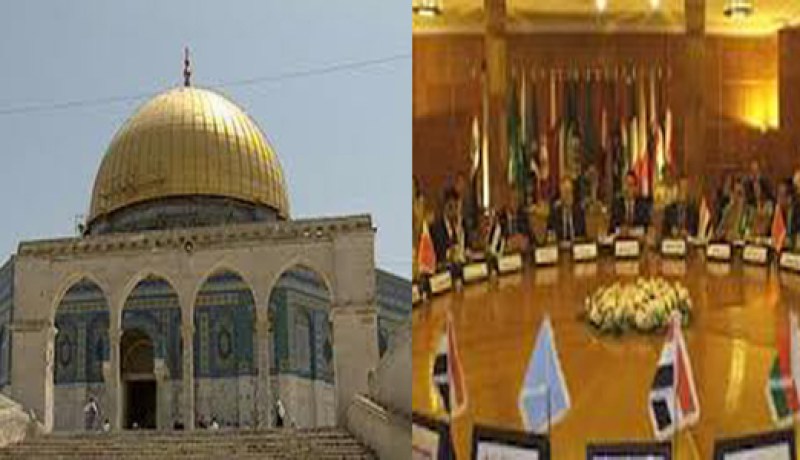 الجامعة العربية تؤكد أهمية مواصلة دعم القضية الفلسطينية