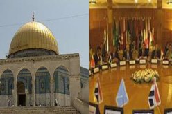 الجامعة العربية تؤكد أهمية مواصلة دعم القضية الفلسطينية