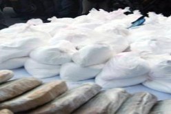 حجز أكثر من 114 كغ من الكوكايين بميناء كالابر في ايطاليا