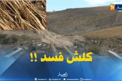 الأمطار تتسبب في خسائر كبيرة للفلاحين بسوق أهراس