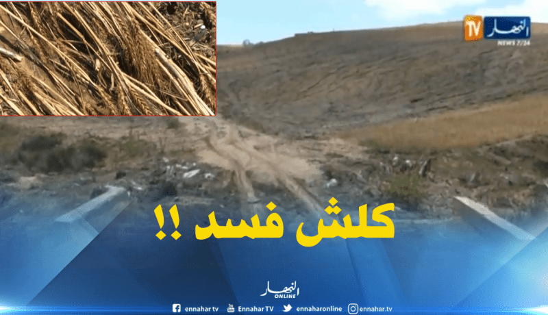 الأمطار تتسبب في خسائر كبيرة للفلاحين بسوق أهراس