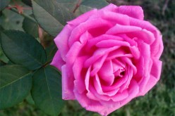 كيف استبدل ملايين السيئات ولو بحسنة واحدة