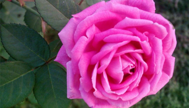 كيف استبدل ملايين السيئات ولو بحسنة واحدة