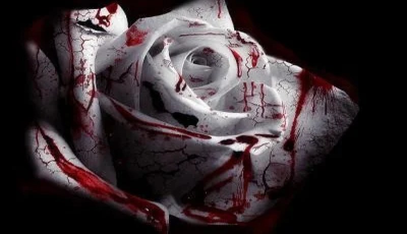 ‮ ‬أسقط عن نفسه المسؤولية العائلية ليتفرغ‮ ‬إلى العشق والحرام