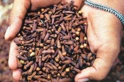 دراسة تؤكد أن القرنفل مضاد للتأكسد و يحارب تأثير التقدم في العمر