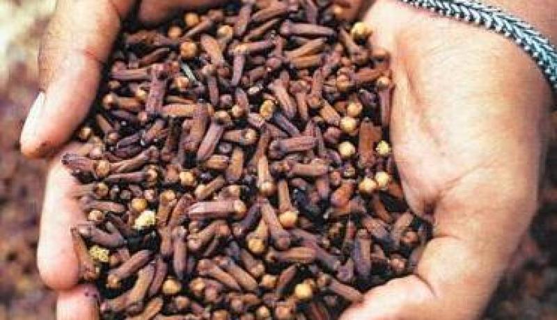 دراسة تؤكد أن القرنفل مضاد للتأكسد و يحارب تأثير التقدم في العمر