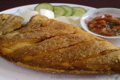 الغذاء الغني بالدهون الحيوانية والكولسترول قبل الحمل يزيد من خطر إصابة النساء بسكري الحوامل