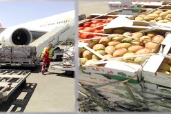 فواكه وخضر جزائرية في أسواق دبي