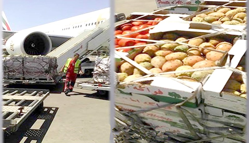 فواكه وخضر جزائرية في أسواق دبي