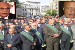 تنحي جماعي للقضاة المكلفون بقضية المنظمات الغير حكومية في مصر