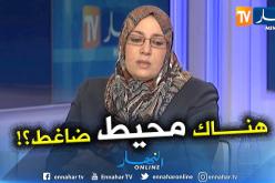 نعيمة صالحي: ناشدت عائلة الرئيس عدم الذهاب للعهدة الخامسة ولكن..