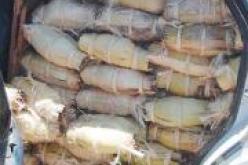 حجز أكثر من 200 قنطار من المنتجات الغذائية و 3.600 لتر من الوقود بالجنوب الغربي للبلاد