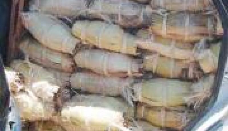 حجز أكثر من 200 قنطار من المنتجات الغذائية و 3.600 لتر من الوقود بالجنوب الغربي للبلاد
