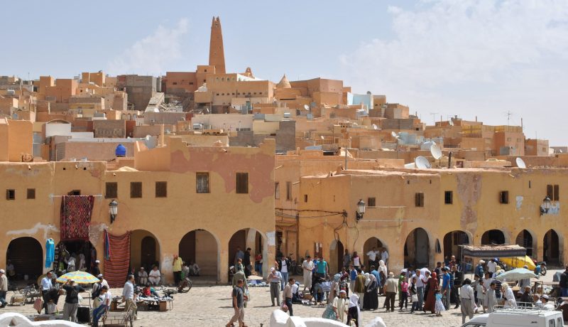 إرتفاع الإصابات بفيروسي الليشمانيا الجلدية وحمى البروسيلوز بغرداية