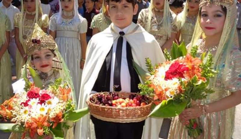 بالصور..تلمسان تحتفل بـ”عيد الكرز” في طبعته الثامنة