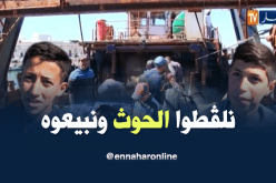 أطفال يلتقطون السمك ويبيعونه لمساعدة عائلاتهم