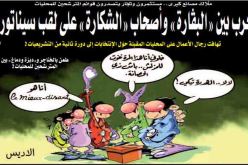 حرب بين «البڤارة» و«أصحاب الشكارة» على لقب سيناتور