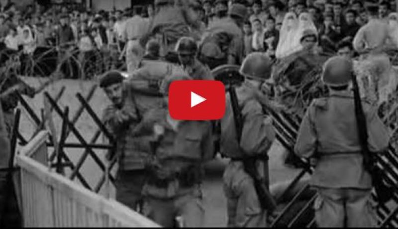 فيلم معركة الجزائر ضيف شرف في الطبعة 54 لمهرجان السينما الدولي بنيويورك