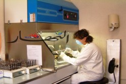 سلالة جديدة من فيروس‮ ‬أنفلونزا الطيور ‬تهدّد البشرية