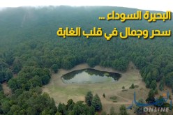 البحيرة السوداء.. سحر وجمال في قلب الغابة