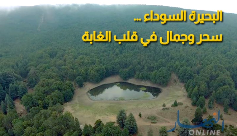 البحيرة السوداء.. سحر وجمال في قلب الغابة