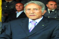 سفير الفيتنام‮ ‬يكرّم الحماية المدنية بحاسي‮ ‬مسعود