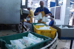 النهار تنشرنتائج تحقيق حول ندرة أكياس الحليب.. الملبنات تبتز الحكومة