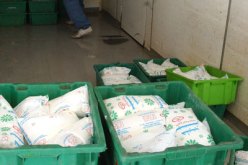 مدير الديوان المهني للحليب ينفي وجود أزمة في التموين بغبرة الحليب