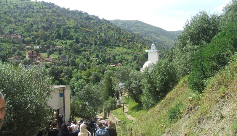 تفكيك خلية دعم وإسناد الإرهاب بالأخضارية في‮ ‬البويرة