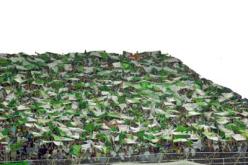 الجزائريون يستيقظون على أخبار محاربي الصحراء من سويسرا