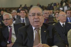 بان كي مون في الجزائر لحماية المرأة من العنف والصحراء الغريبة من الاحتلال