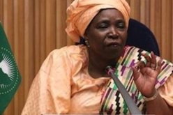 الجزائر بلد ناضل كثيرا من اجل تحرر افريقيا وتنميتها