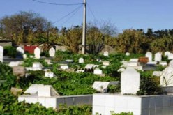 موقع الكتروني جديد خاص بمقابر وهران في خدمة المواطنين