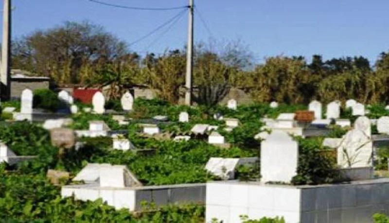 موقع الكتروني جديد خاص بمقابر وهران في خدمة المواطنين