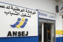 رفع التجميد عن رخص النقل لفائدة شباب «أونساج» و«كناك»