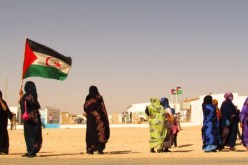 الجزائر تواصل دعم وحماية اللاجئين الصحراويين في انتظار عودتهم “بكامل ارادتهم”