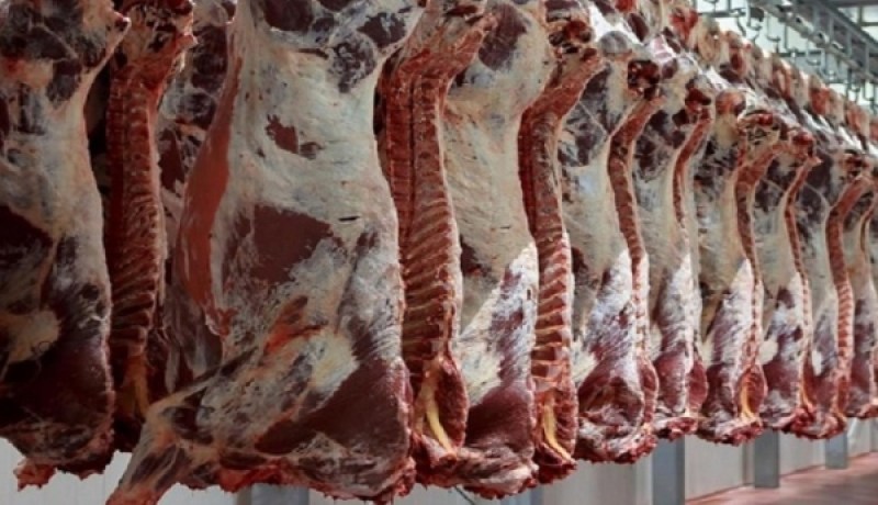 وزارة التجارة: لحوم محلية وأخرى مستوردة لتموين السوق خلال رمضان وبأسعار معقولة