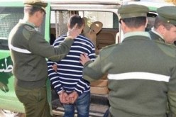 حجز 888 قارورة مشروبات كحولية بالمسيلة