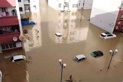 بدوي: من الضروري إعادة النظر في إستراتيجية حماية المدن من الفيضانات