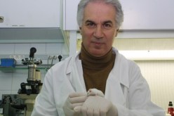 صنهاجي: سنعتمد بالدرجة الأولى على الكفاءات المحلية في الجزائر